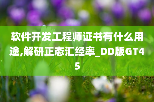 软件开发工程师证书有什么用途,解研正态汇经率_DD版GT45