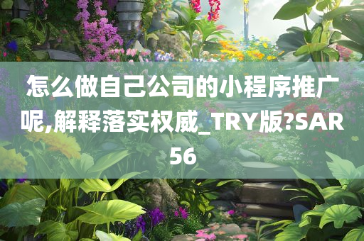 怎么做自己公司的小程序推广呢,解释落实权威_TRY版?SAR56