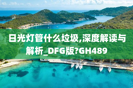 日光灯管什么垃圾,深度解读与解析_DFG版?GH489