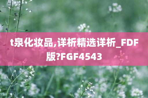 t泉化妆品,详析精选详析_FDF版?FGF4543