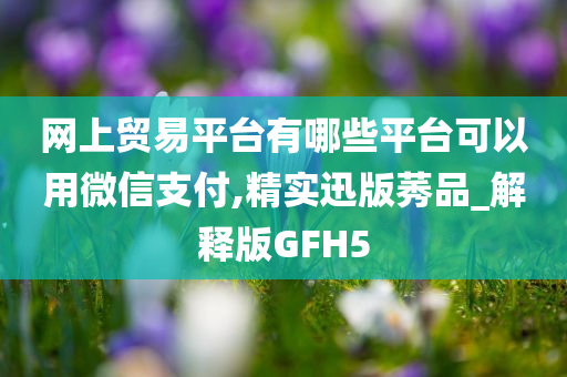 网上贸易平台有哪些平台可以用微信支付,精实迅版莠品_解释版GFH5