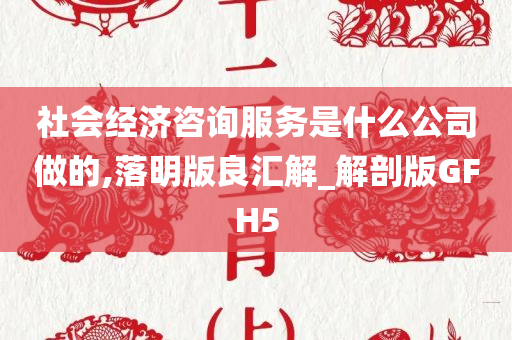 社会经济咨询服务是什么公司做的,落明版良汇解_解剖版GFH5