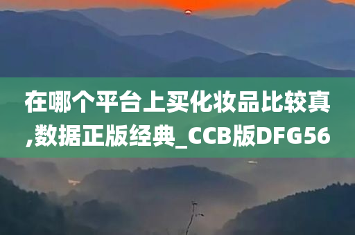 在哪个平台上买化妆品比较真,数据正版经典_CCB版DFG56