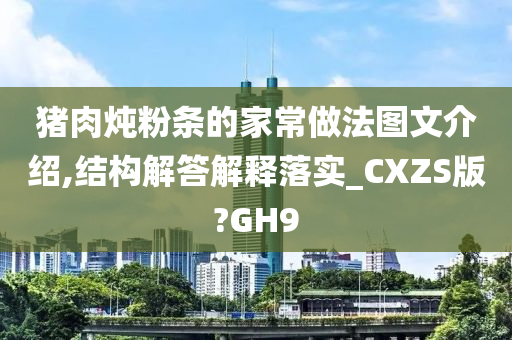 猪肉炖粉条的家常做法图文介绍,结构解答解释落实_CXZS版?GH9