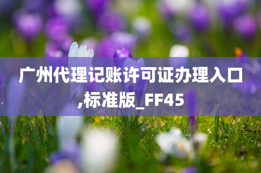 广州代理记账许可证办理入口,标准版_FF45