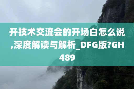 开技术交流会的开场白怎么说,深度解读与解析_DFG版?GH489