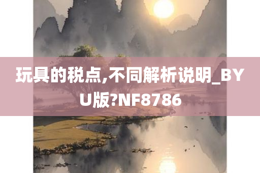 玩具的税点,不同解析说明_BYU版?NF8786