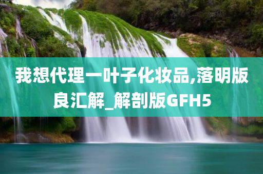 我想代理一叶子化妆品,落明版良汇解_解剖版GFH5