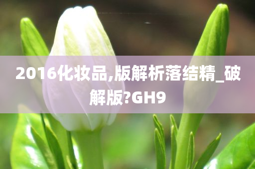 2016化妆品,版解析落结精_破解版?GH9