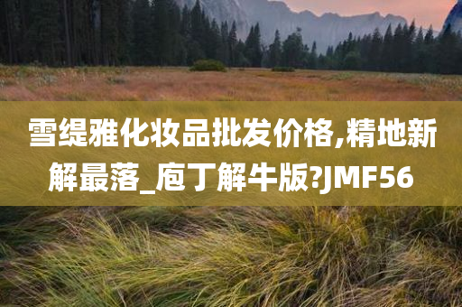 雪缇雅化妆品批发价格,精地新解最落_庖丁解牛版?JMF56