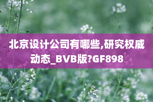 北京设计公司有哪些,研究权威动态_BVB版?GF898