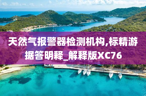 天然气报警器检测机构,标精游据答明释_解释版XC76