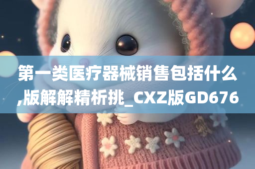 第一类医疗器械销售包括什么,版解解精析挑_CXZ版GD676