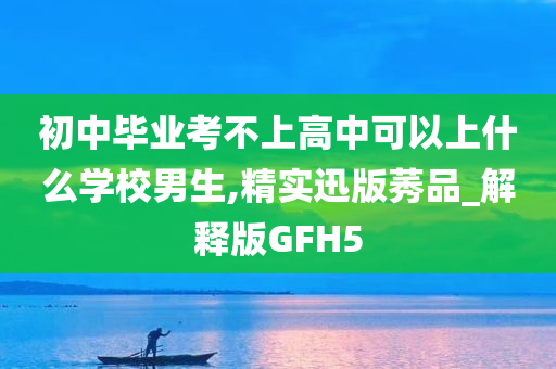 初中毕业考不上高中可以上什么学校男生,精实迅版莠品_解释版GFH5