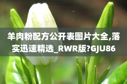 羊肉粉配方公开表图片大全,落实迅速精选_RWR版?GJU86