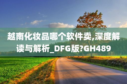 越南化妆品哪个软件卖,深度解读与解析_DFG版?GH489