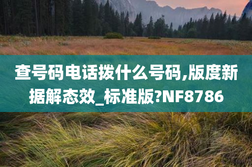 查号码电话拨什么号码,版度新据解态效_标准版?NF8786