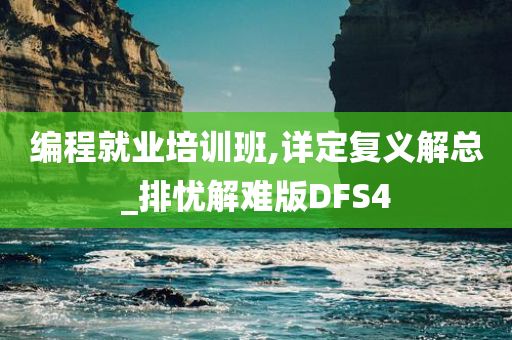 编程就业培训班,详定复义解总_排忧解难版DFS4