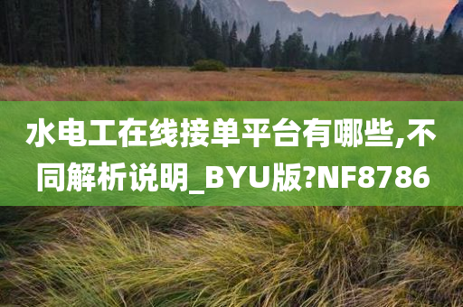 水电工在线接单平台有哪些,不同解析说明_BYU版?NF8786