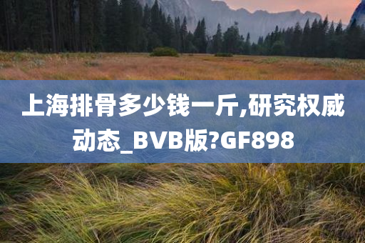 上海排骨多少钱一斤,研究权威动态_BVB版?GF898