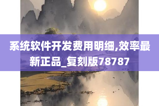 系统软件开发费用明细,效率最新正品_复刻版78787