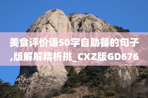 美食评价语50字自助餐的句子,版解解精析挑_CXZ版GD676