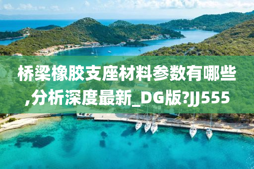 桥梁橡胶支座材料参数有哪些,分析深度最新_DG版?JJ555