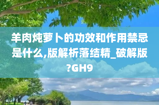 羊肉炖萝卜的功效和作用禁忌是什么,版解析落结精_破解版?GH9