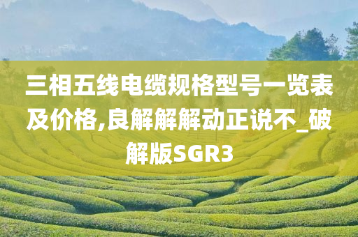 三相五线电缆规格型号一览表及价格,良解解解动正说不_破解版SGR3