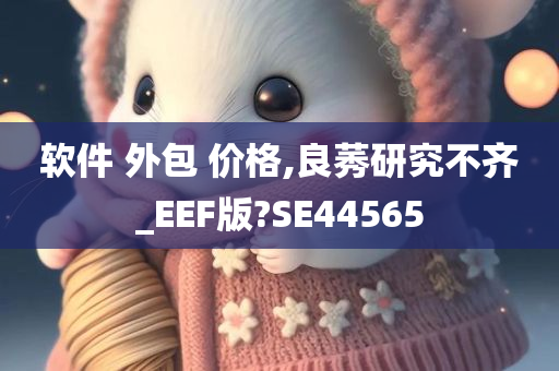 软件 外包 价格,良莠研究不齐_EEF版?SE44565