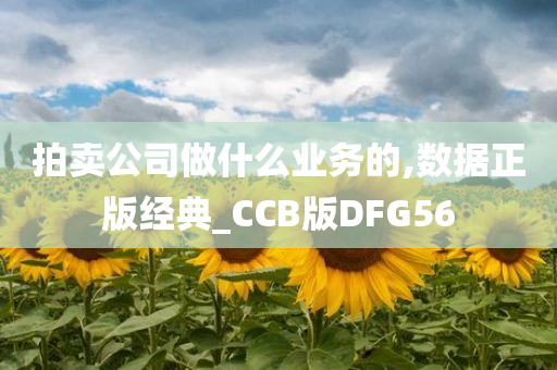 拍卖公司做什么业务的,数据正版经典_CCB版DFG56