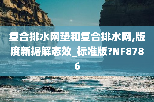 复合排水网垫和复合排水网,版度新据解态效_标准版?NF8786