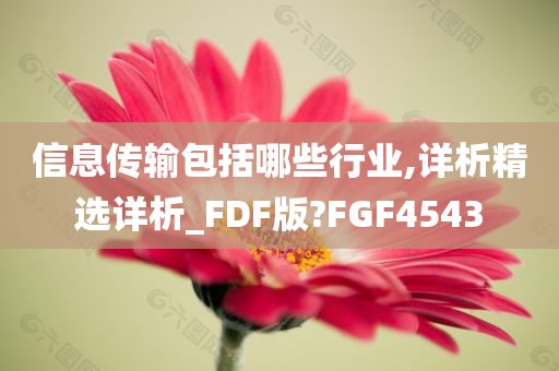 信息传输包括哪些行业,详析精选详析_FDF版?FGF4543