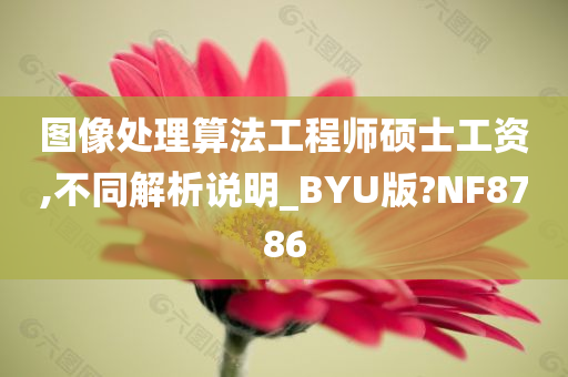 图像处理算法工程师硕士工资,不同解析说明_BYU版?NF8786