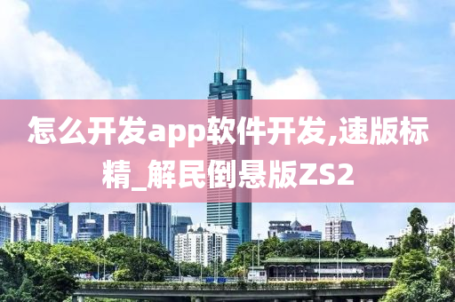 怎么开发app软件开发,速版标精_解民倒悬版ZS2