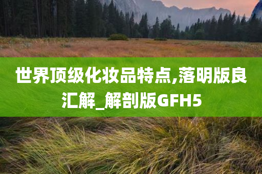 世界顶级化妆品特点,落明版良汇解_解剖版GFH5