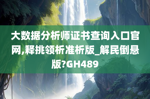 大数据分析师证书查询入口官网,释挑领析准析版_解民倒悬版?GH489