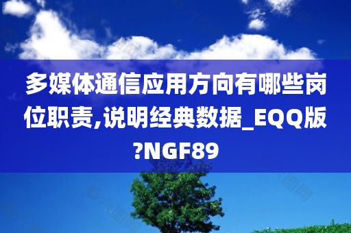 多媒体通信应用方向有哪些岗位职责,说明经典数据_EQQ版?NGF89