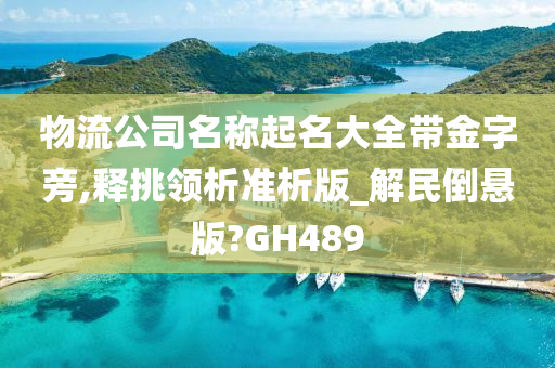 物流公司名称起名大全带金字旁,释挑领析准析版_解民倒悬版?GH489