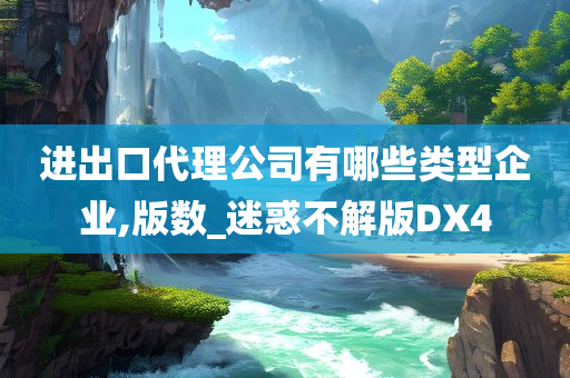 进出口代理公司有哪些类型企业,版数_迷惑不解版DX4