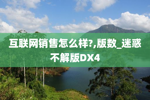 互联网销售怎么样?,版数_迷惑不解版DX4