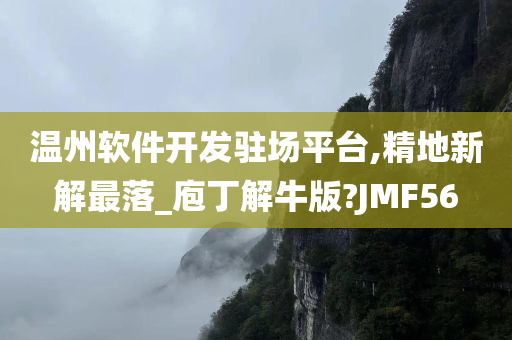 温州软件开发驻场平台,精地新解最落_庖丁解牛版?JMF56