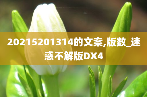 20215201314的文案,版数_迷惑不解版DX4