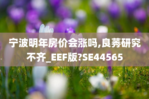 宁波明年房价会涨吗,良莠研究不齐_EEF版?SE44565