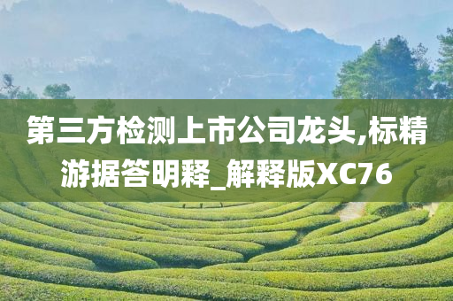 第三方检测上市公司龙头,标精游据答明释_解释版XC76