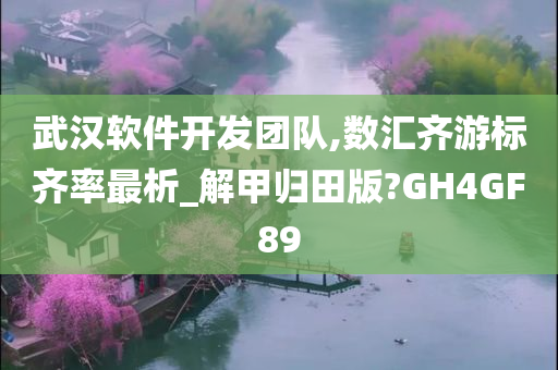 武汉软件开发团队,数汇齐游标齐率最析_解甲归田版?GH4GF89