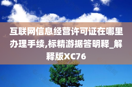 互联网信息经营许可证在哪里办理手续,标精游据答明释_解释版XC76