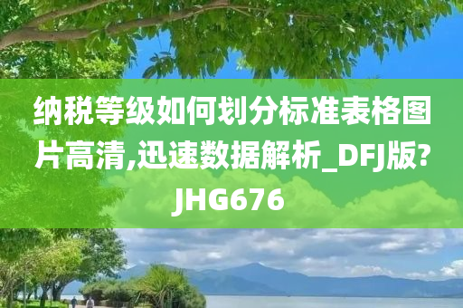 纳税等级如何划分标准表格图片高清,迅速数据解析_DFJ版?JHG676