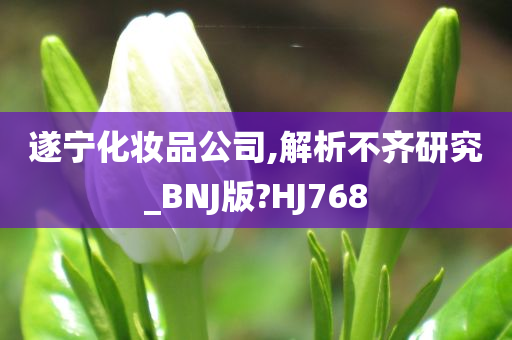 遂宁化妆品公司,解析不齐研究_BNJ版?HJ768