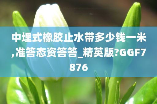 中埋式橡胶止水带多少钱一米,准答态资答答_精英版?GGF7876